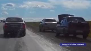В Уфимском районе люди массово собирают горох возле трассы