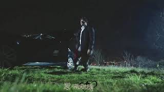 Лучшие турецкие актёры? Kara sevda dizi♥️
