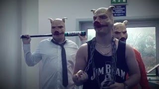 New Valley Wolves - Animal
