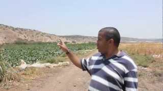 Arqueologia Biblica - Nos Passos de Davi - O Vale-de-Elah, local da batalha entre Davi e Golias