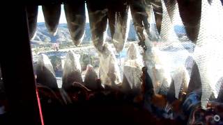 Inside the T-Trex