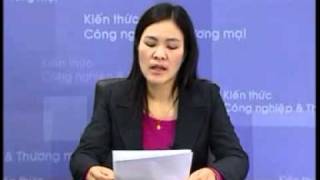 flp bình dương  - Phan tich ban hang da cap Viet Nam 02