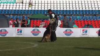№78, ATSEL HOF YASKO, 3-3, дорожка пройдена/выражено/отпускает