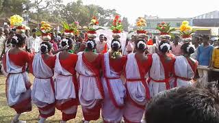 adivasi video  songs/ Dance/mundari video / adivasi mundari traditional cultural