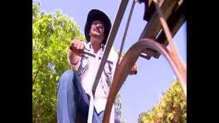 Mamacha Gaon - Best resort near mumbai