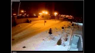 Студенты украли голубую ель (16.12.2015)