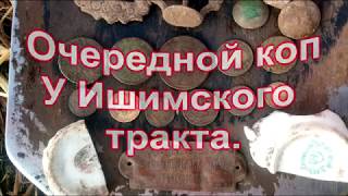 Очередной коп монет у Ишимского тракта