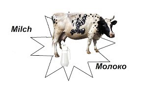 УЧИМ НЕМЕЦКИЙ ( ВИДЕОПРЕЗЕНТАЦИЯ ЕДА 3)