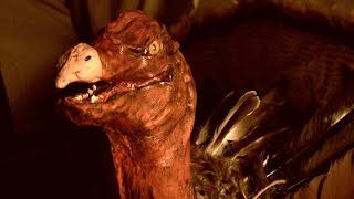 Horror movies so bad, they're AWESOME!