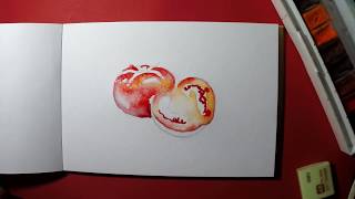 Скетчинг для начинающих. Рисунки акварелью в скетчбуке: Как нарисовать помидор, томат