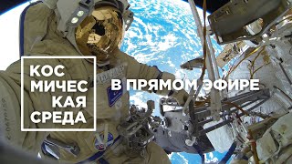 Космическая среда № 308 в прямом эфире