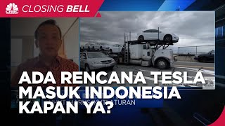 Anak Buah Luhut Ungkap Rencana Tesla Masuk Indonesia