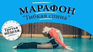 МАРАФОН. 3 Неделя. КАК РАЗВИТЬ ГИБКОСТЬ СПИНЫ. Упражнения на гибкую спину. Гимнастика. Растяжка