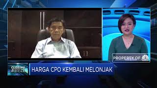 Ancaman La Nina, Industri Sawit Siapkan Antisipasi Jaga Produksi CPO