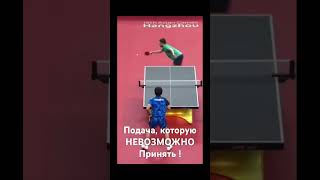 Подача, которую НЕВОЗМОЖНО принять ! #настольныйтеннис #tabletennis #теннис #тенниснастольный