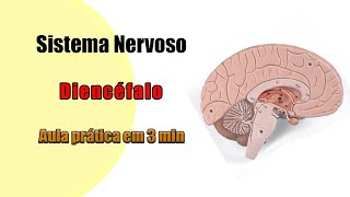 Neuroanatomia _ Diencéfalo _ Aula Prática 6