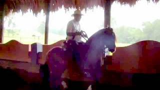 Caballos don Danilo sobre Prodigio de  María Rosa