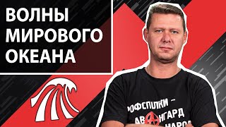Зелёненькое - смеётся. Зачем работающему в поле сапкой высшее образование. Чаплыга без вопросов