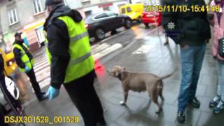 Нападение собаки на полицейских (Львов, Украина)/Dog attacks on police officers (Lviv, Ukraine)