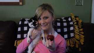 Hypnotic Poison Review: Favorite Perfume!