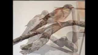 Best of 3d  Art Illusion Paintings 3d Eka Peradze
