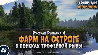 Фарм серебра на оз. Старый Острог • Русская Рыбалка 4