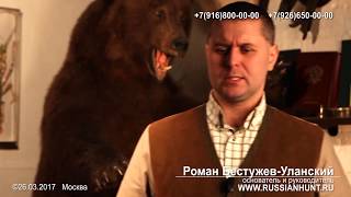 Медвежья желчь лечебные свойства – какие болезни лечит