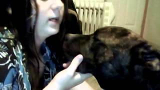 DEVEL DOG KILLS PERSON PART 1
