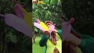 kerusuhan tiup finger balon #short #youtubeshorts #balon #balonbesar #balonwarnawarni #ballons