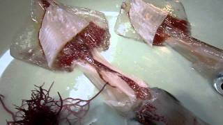 Live squid sashimi part 2