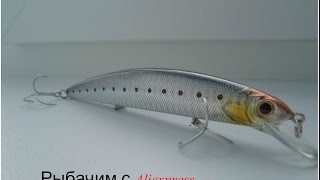 Рудра из Китая, ловит!!!! и копия  DUO Realis Jerkbait 100
