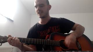 Nickelback - Lullaby (cover)