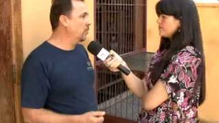 BASTIDORES COLUMBOFILIA PARTE 1