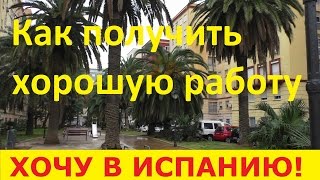 №20. Как получить работу в Испании. Советы успешных. Работа в Испании. ВНЖ в Испании.