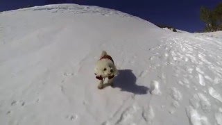 Climbing Mount Baldy via the Bowl