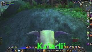[PC] World of Warcraft: The Burning Crusade - 5x Blizzlike Shaman #13