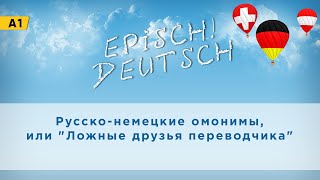 Deutsch A1: Русско-немецкие омонимы или "Ложные друзья переводчика"