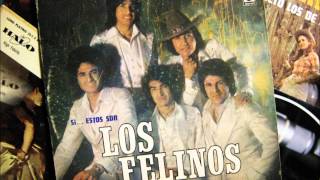 los felinos    el cigarro mas caro