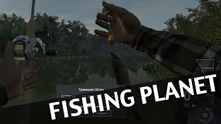 Fishing Planet [Как поймать травяную щуку]