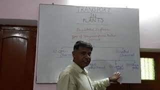 Transport In Plants(Facilitated Diffusion).For NEET, AIIMS & JIPMER.