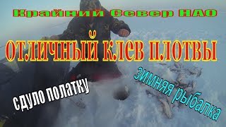 Зимняя рыбалка. Плотва. Крайний Север. НАО