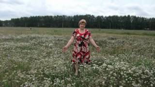 В гармонии с природой