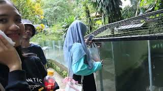 Melihat Ular dan Macan di Kebun Binatang
