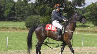 CAERSWS HARNESS RACES 2019 SADDLE RACE