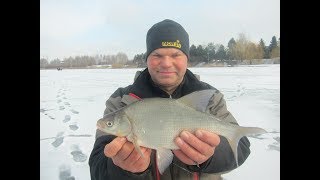Ловля подлещика и густеры на спортивную мормышку. Зимняя рыбалка с прикормкой