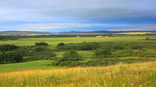 Copithorne Parcel Of Land Alberta by Mark Evernden