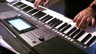 despacito cover on yamaha PSR S970