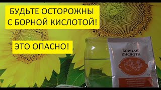 Как приготовить раствор борной кислоты? Как отмерить и развести борную кислоту для опрыскивания?