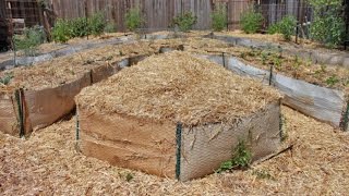 Never Before Seen Footage! Backyard Food Forest Years 1,2 & 3 | How it all Began!