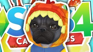 THE CRAZIEST SIMS 4 CATS & DOGS VIDEO..!!!
